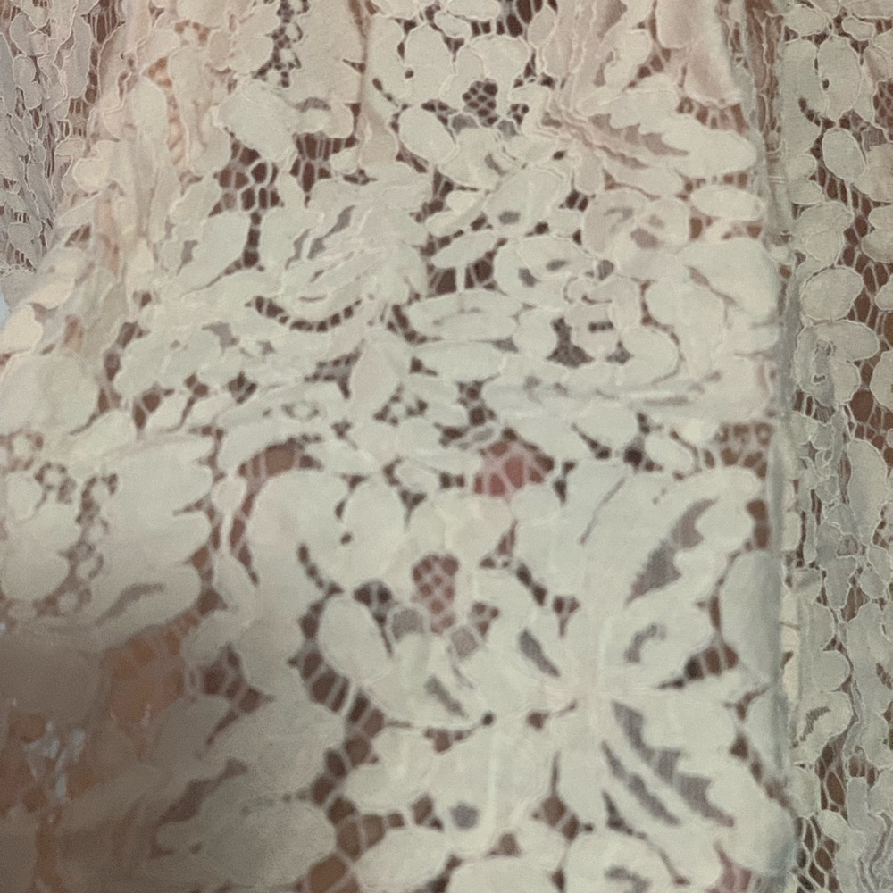 Maniju Blush Lace Midi Dress Size S Sheer Net Panel Formal Gown Back Zipper - Picture 8 of 14